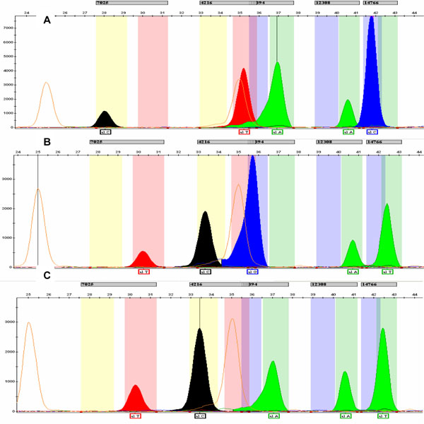 The Use of Single Base Extension (SBE) for the Assessment of European ...